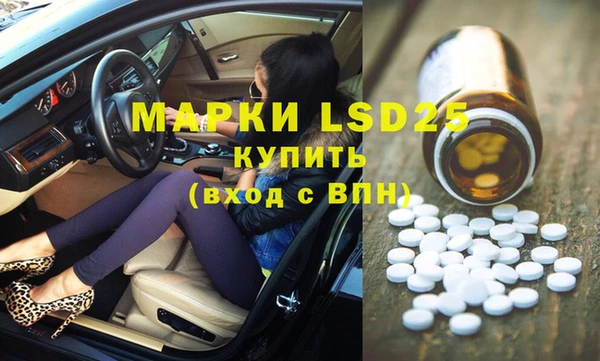 ГАЛЛЮЦИНОГЕННЫЕ ГРИБЫ Баксан